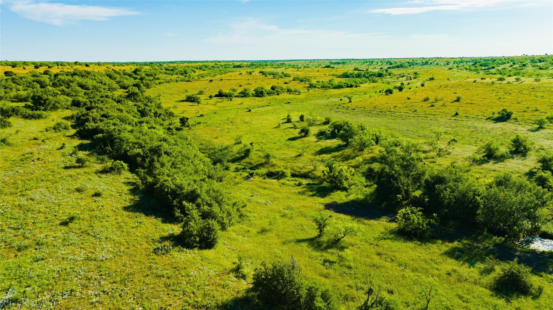 385 acres in Callahan County