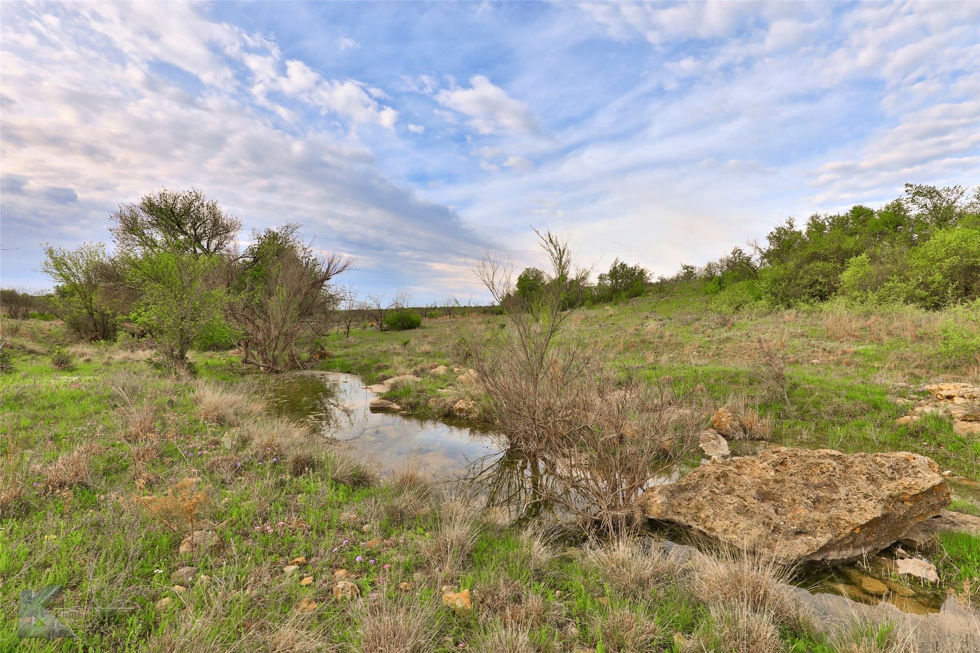 385 acres in Callahan County - photo 12