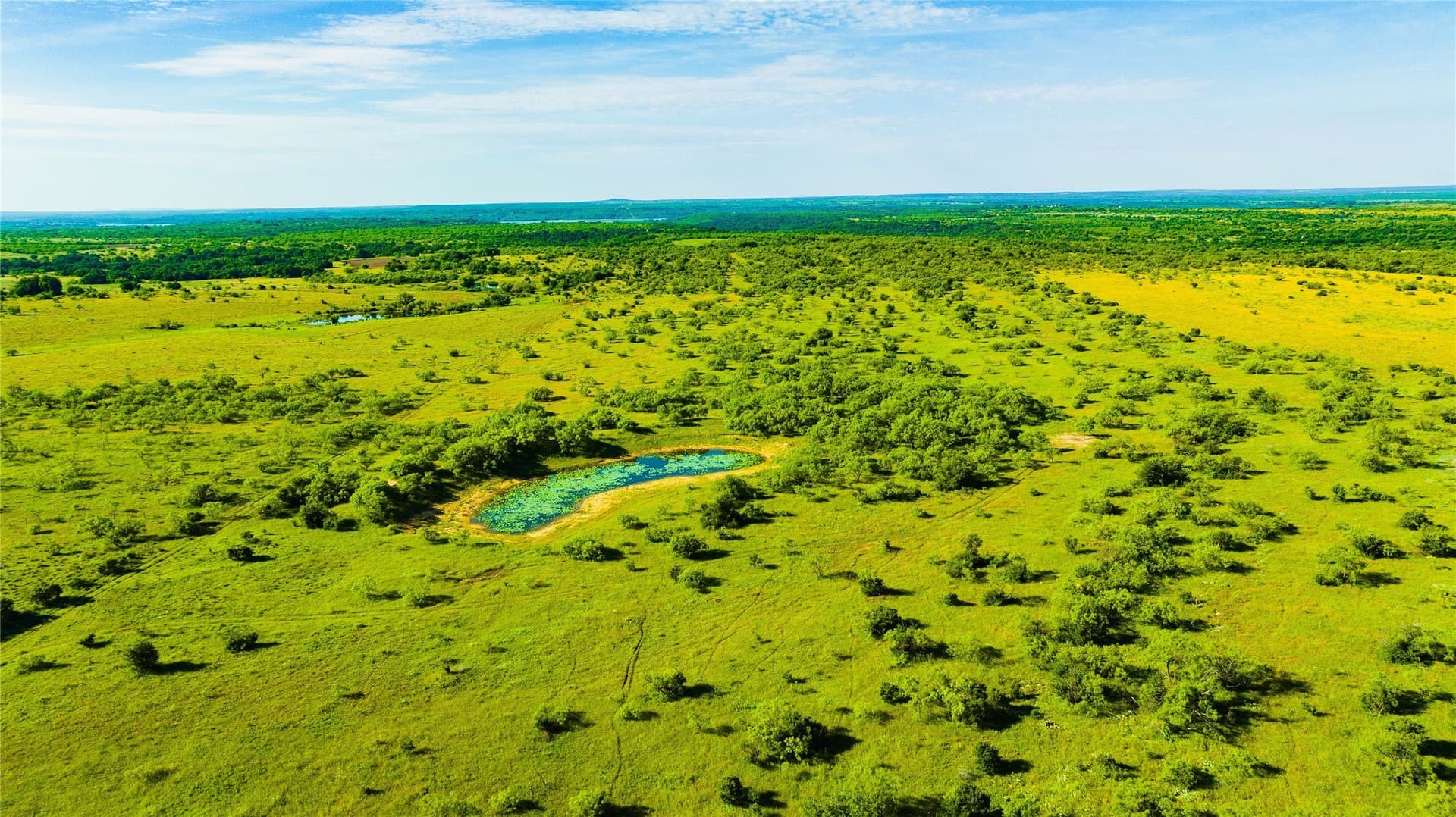 385 acres in Callahan County - photo 4