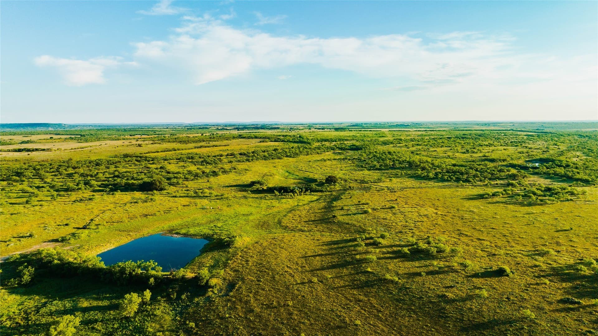 385 acres in Callahan County - photo 6