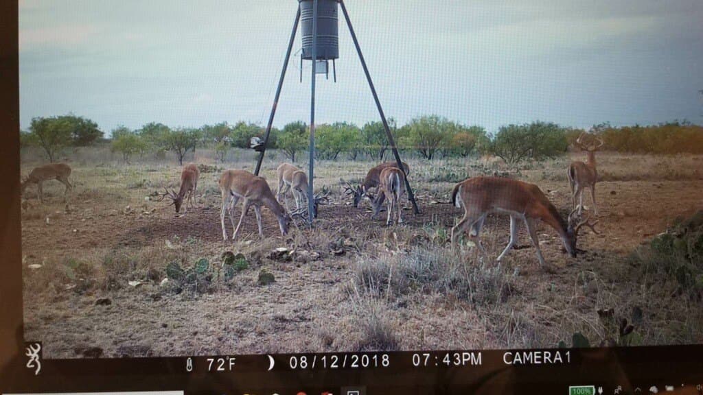 385 acres in Callahan County - photo 23