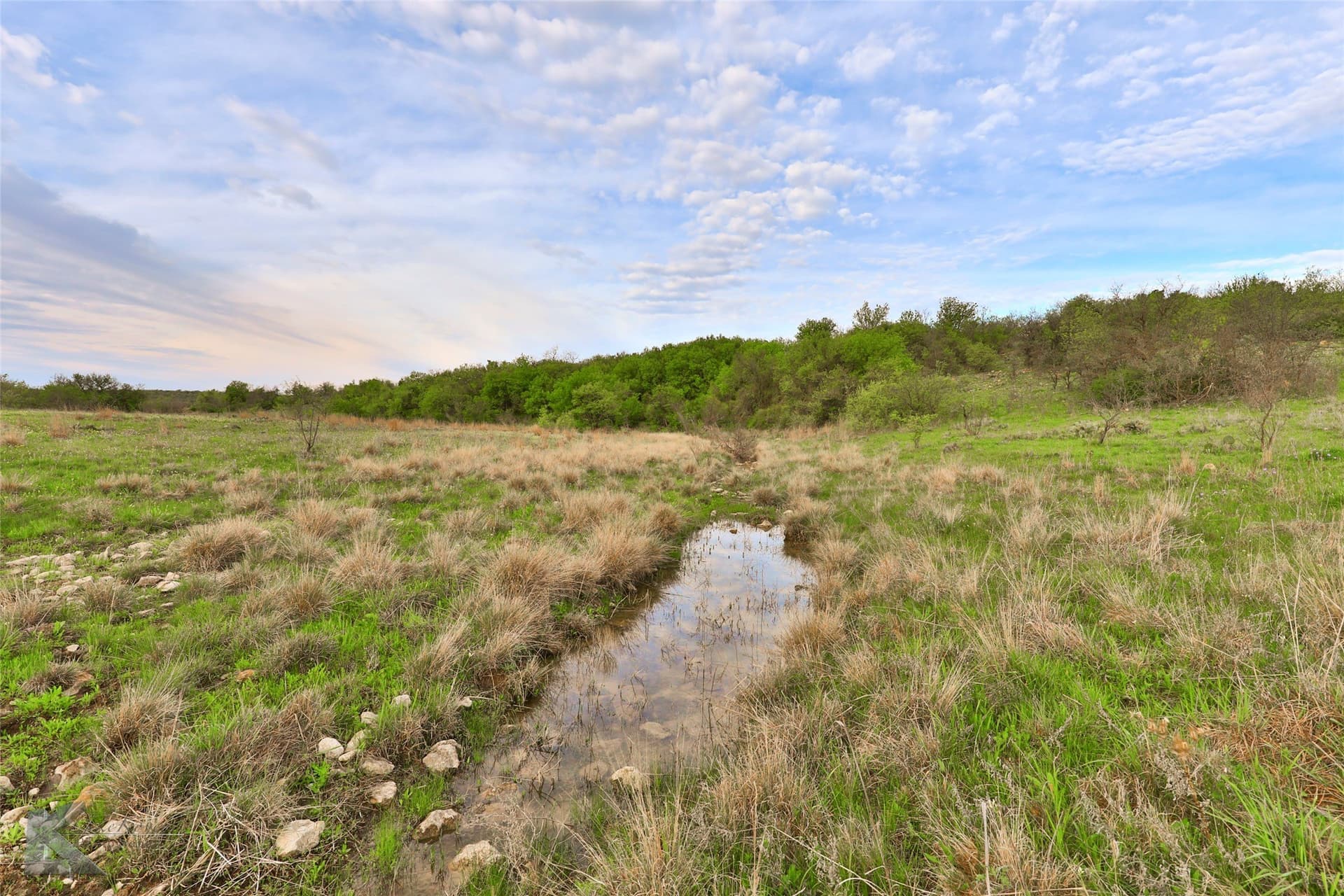 385 acres in Callahan County - photo 13