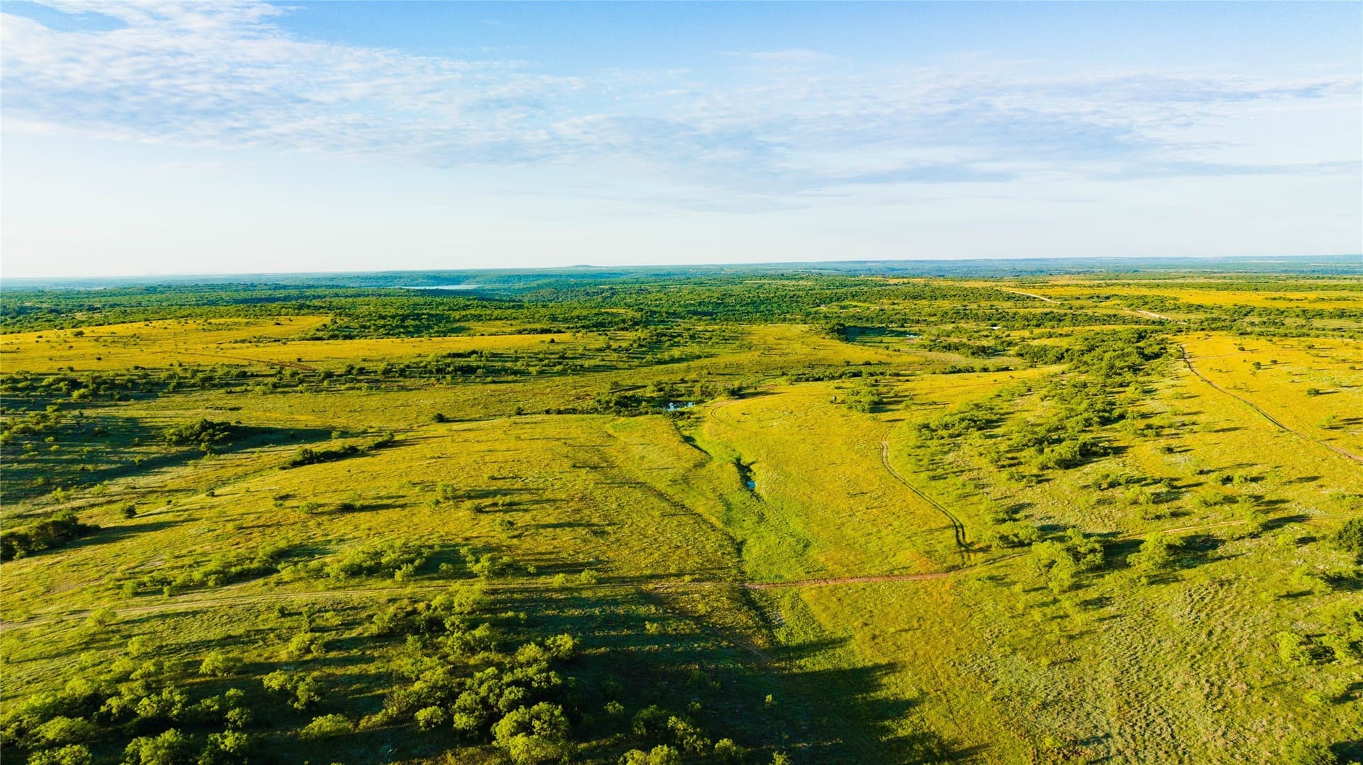 385 acres in Callahan County - photo 2