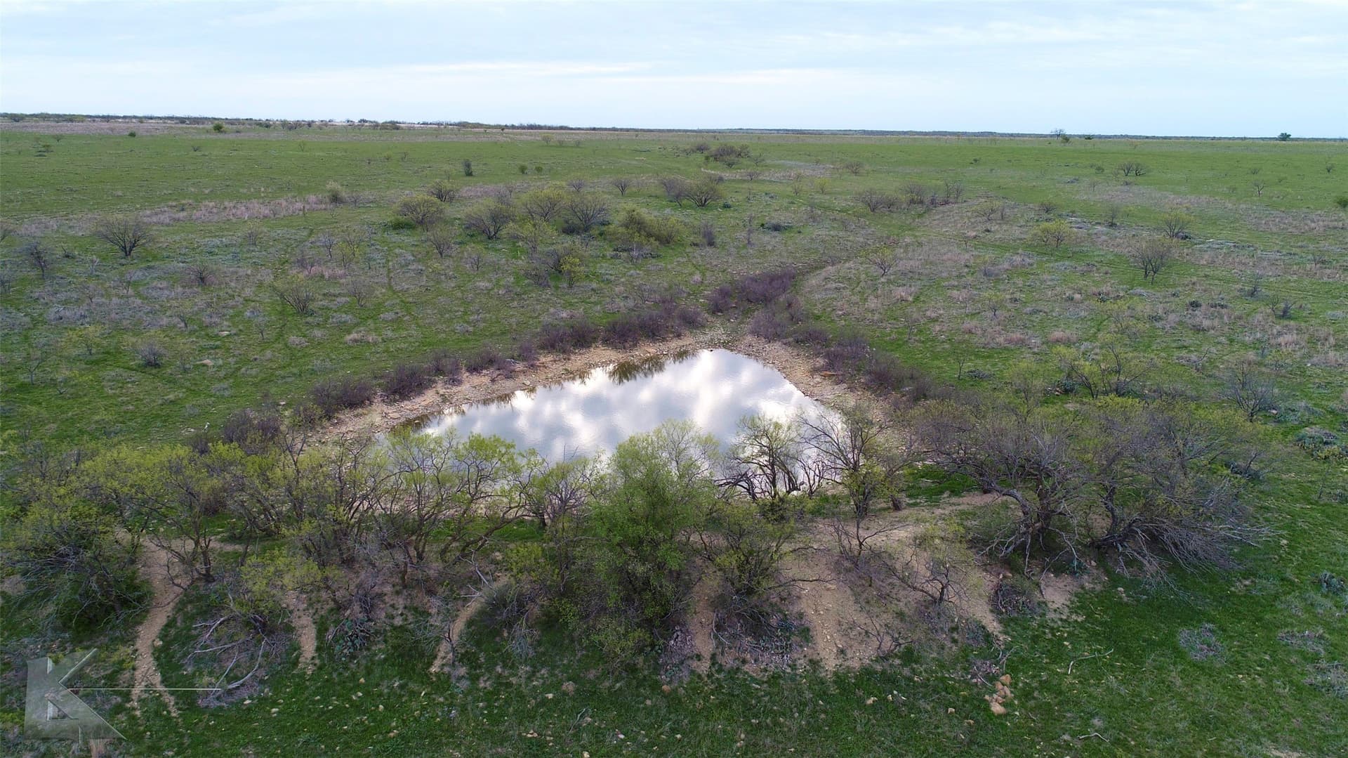 385 acres in Callahan County - photo 16