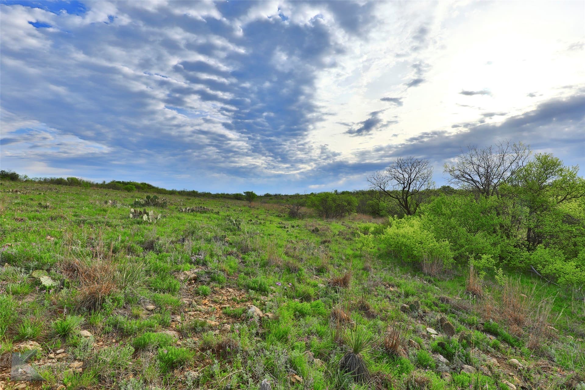 385 acres in Callahan County - photo 10
