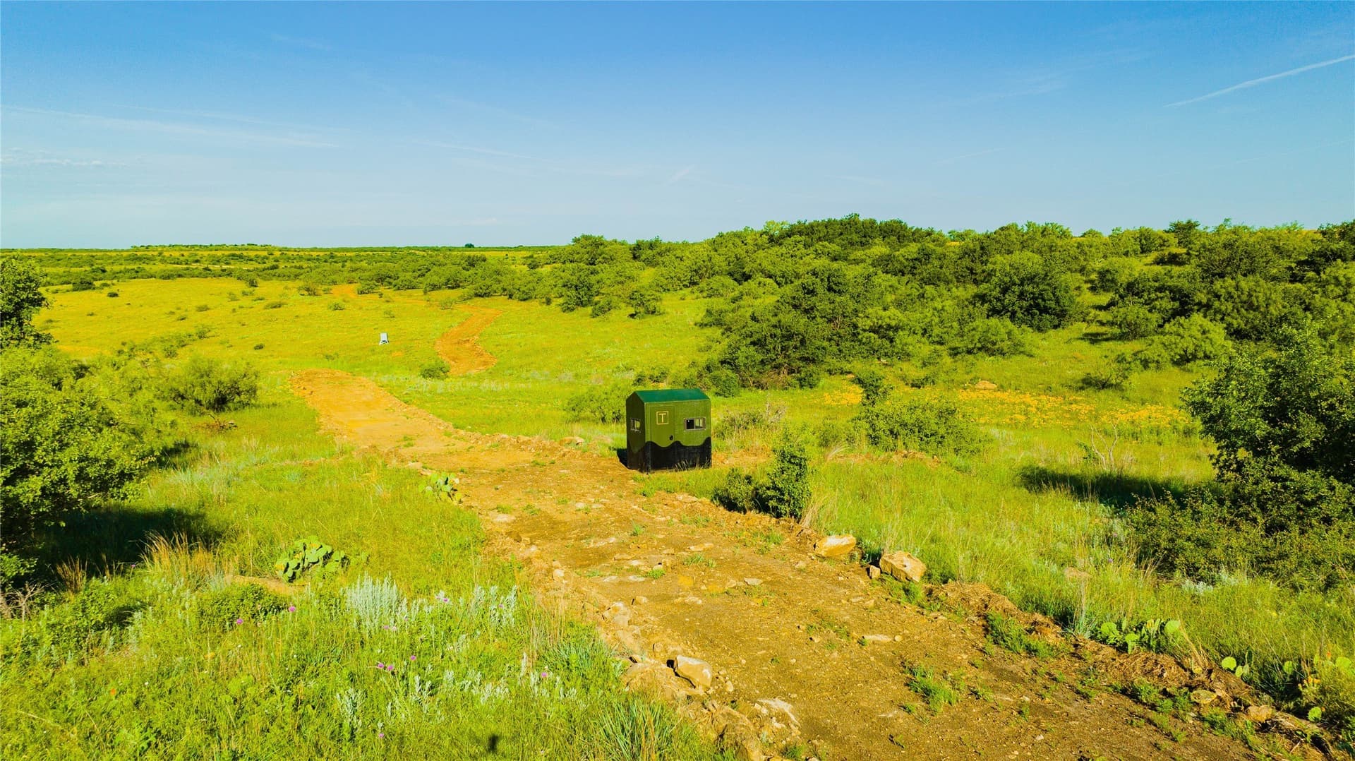 385 acres in Callahan County - photo 9