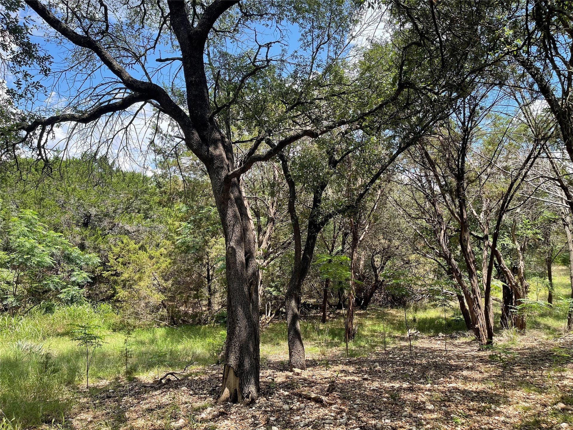4.96 acres in McLennan County - photo 12