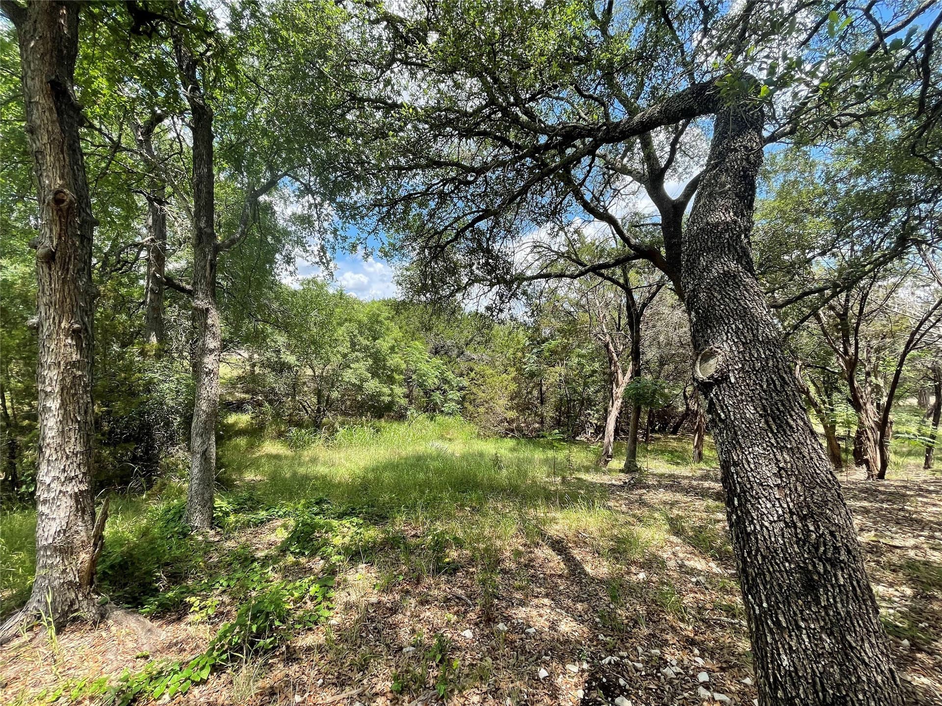 4.96 acres in McLennan County - photo 10