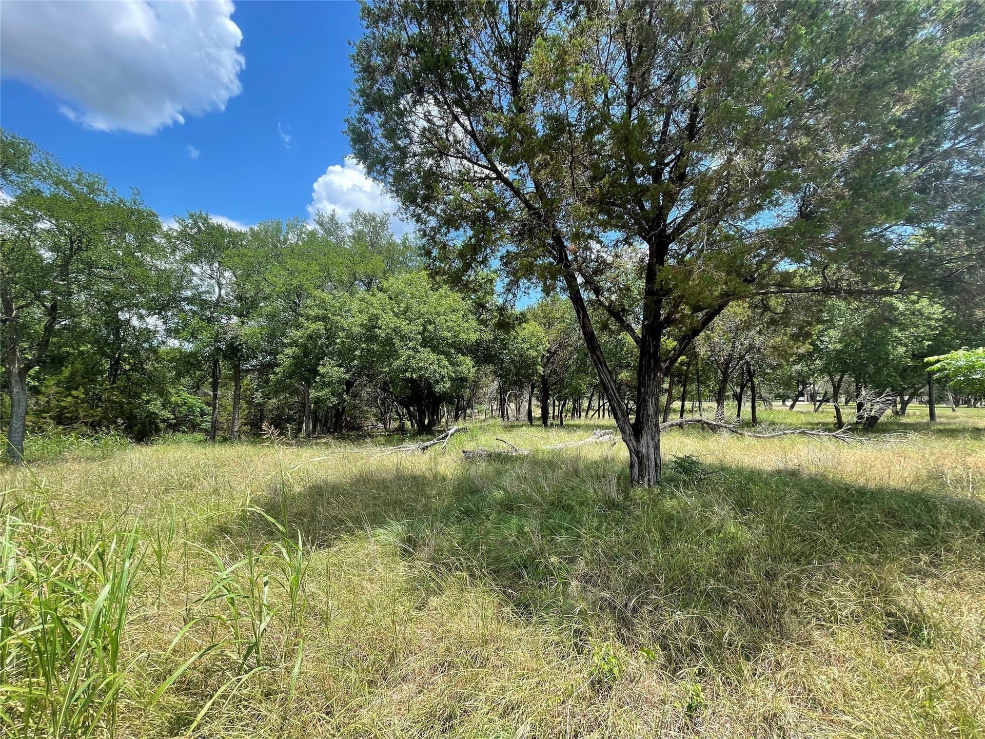 4.96 acres in McLennan County gallery image 4