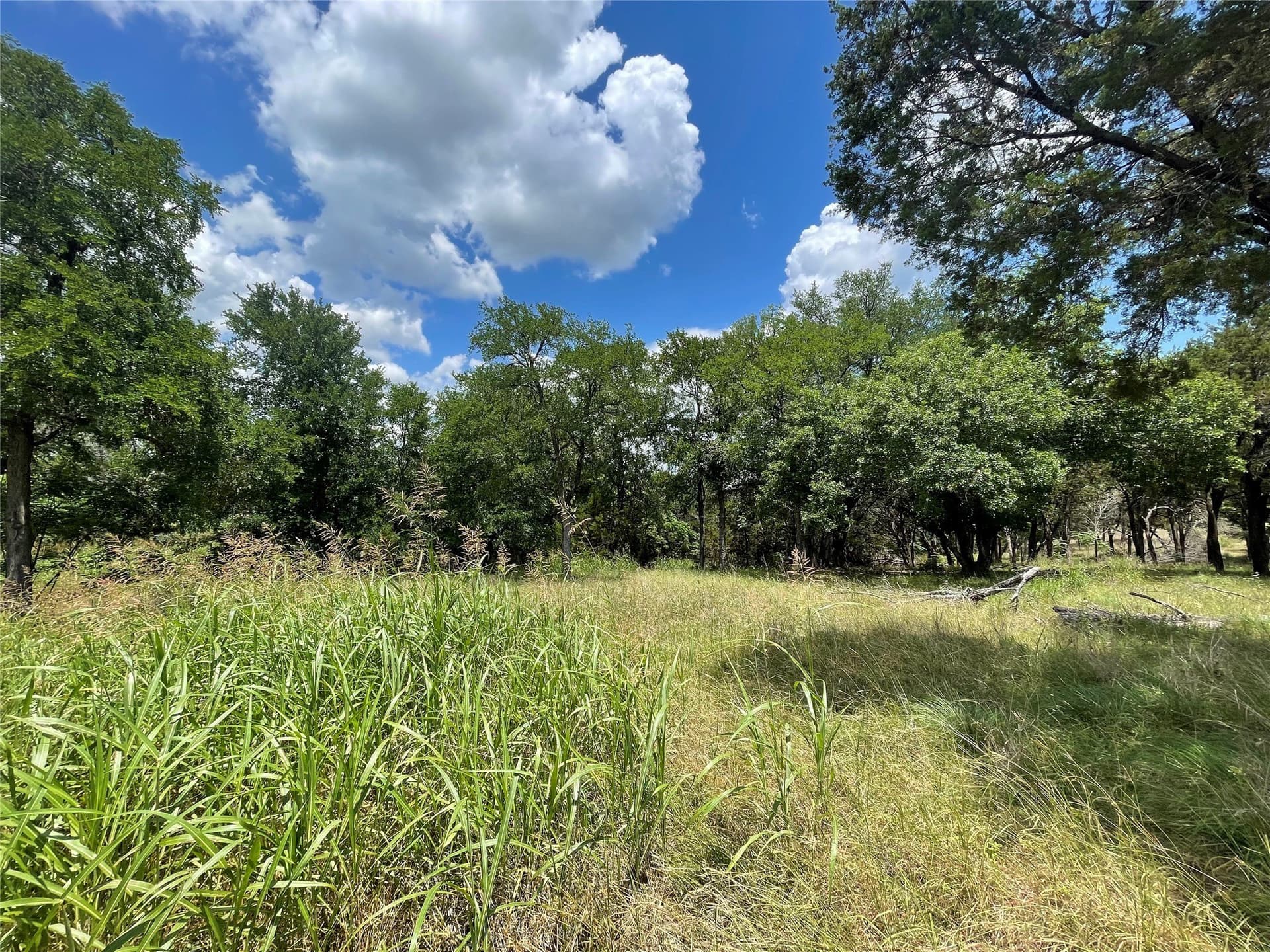 4.96 acres in McLennan County gallery image 3