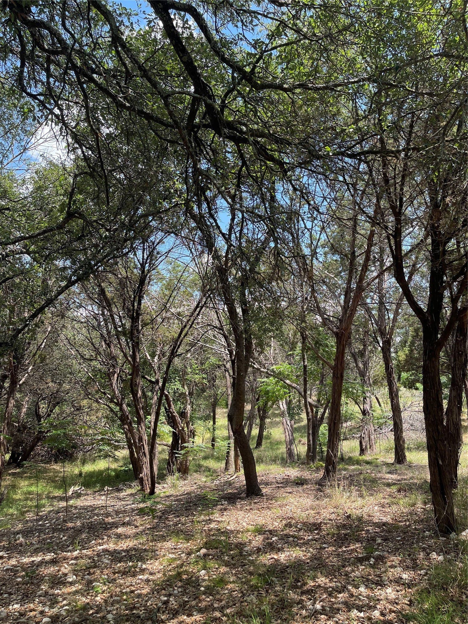 4.96 acres in McLennan County - photo 14