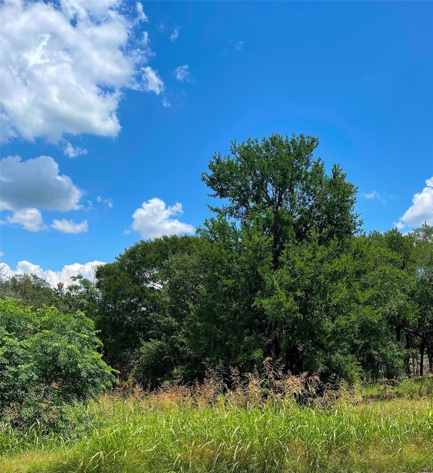 4.96 acres in McLennan County - photo 20