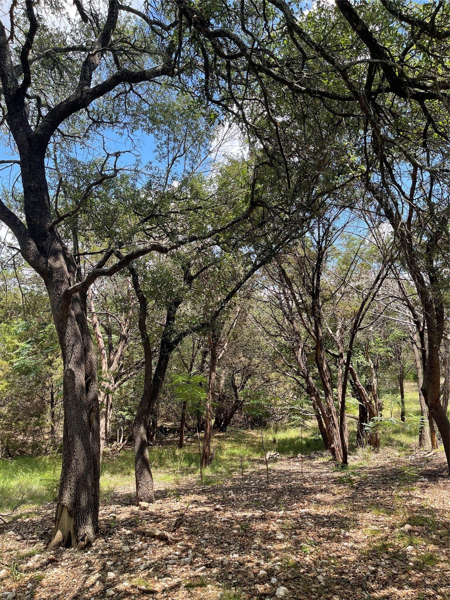 4.96 acres in McLennan County - photo 15