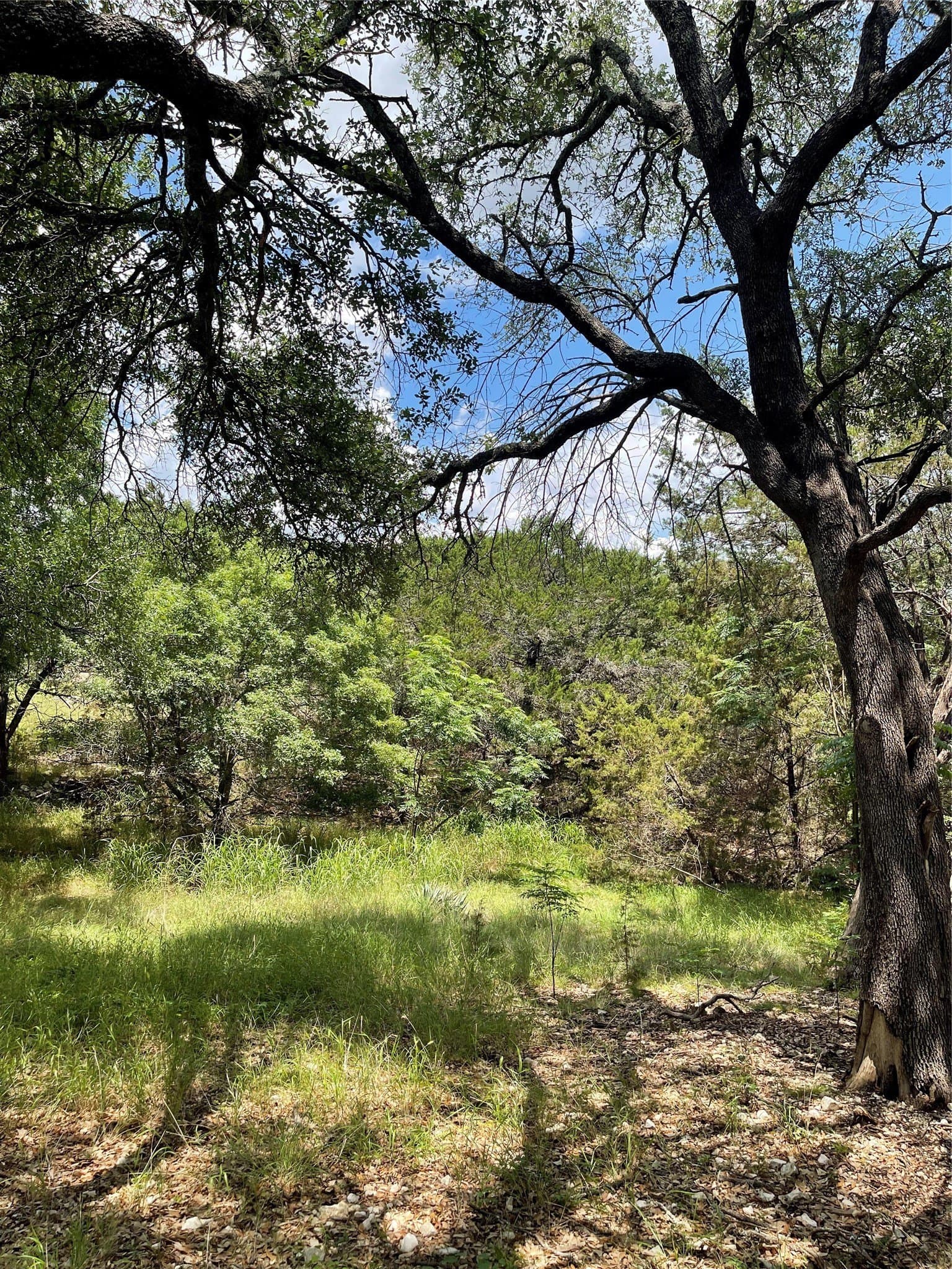 4.96 acres in McLennan County - photo 16