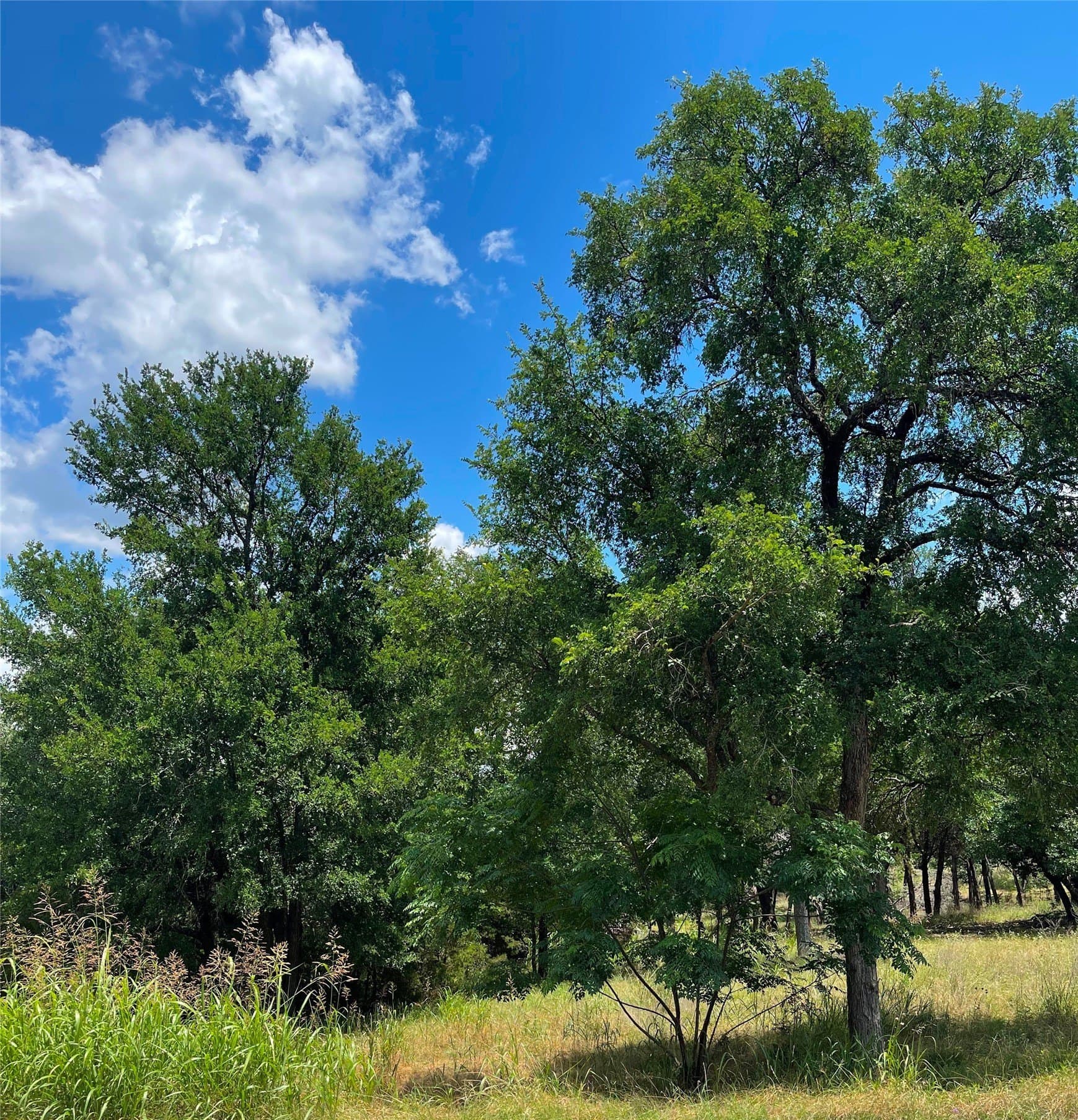 4.96 acres in McLennan County - photo 19