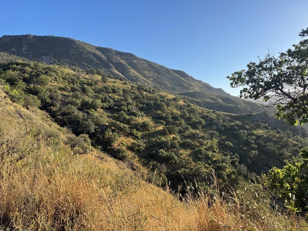 694 acres in Jeff Davis County featured view