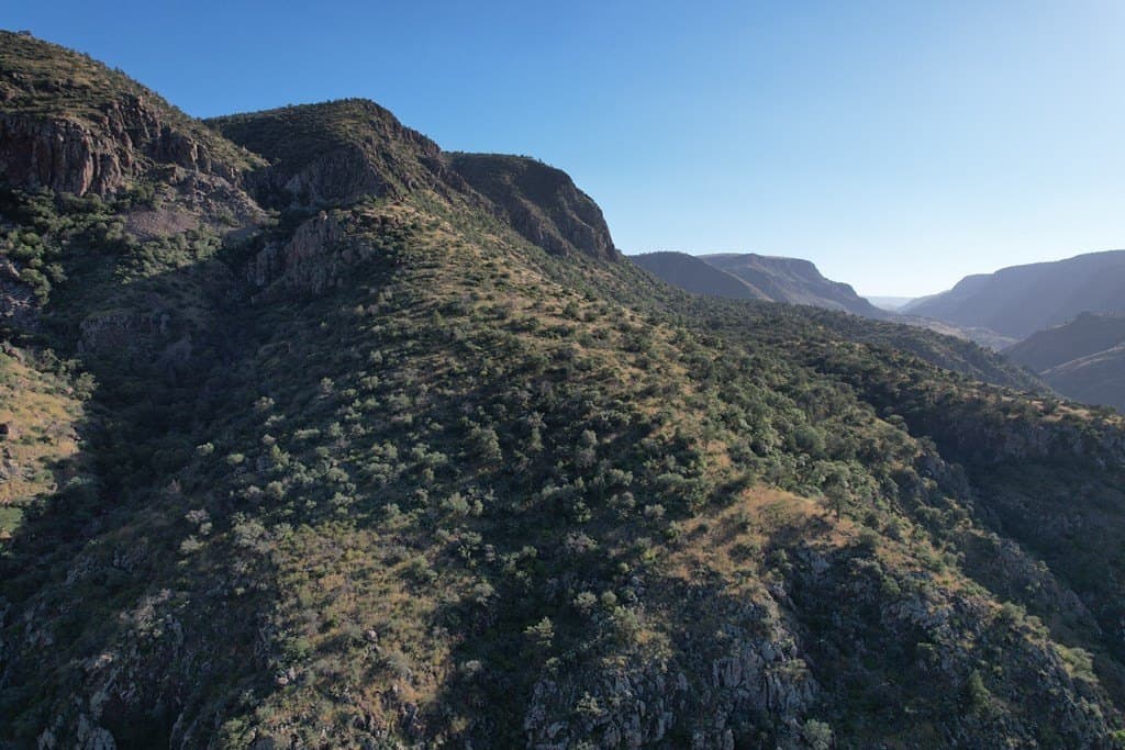 694 acres in Jeff Davis County gallery image 4