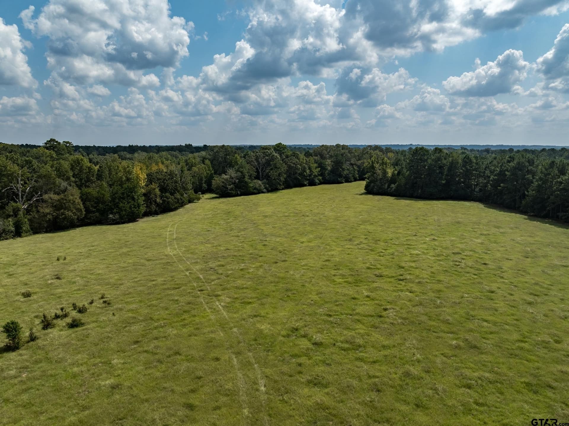 43.1 acres in Anderson County - photo 9
