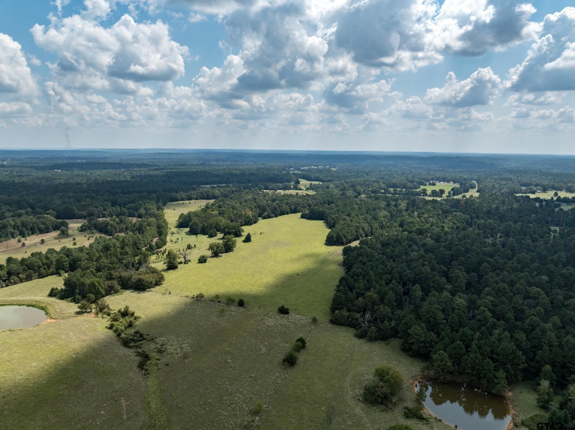43.1 acres in Anderson County - photo 7
