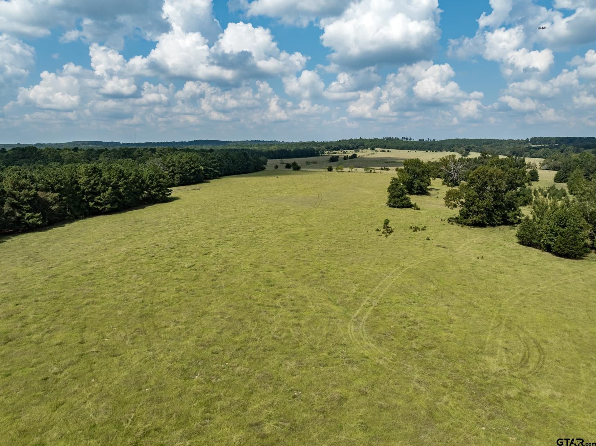43.1 acres in Anderson County - photo 10