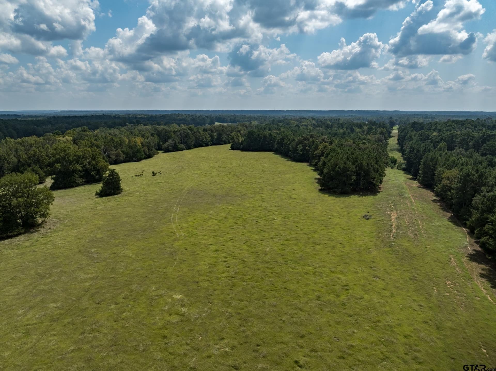 43.1 acres in Anderson County - photo 8