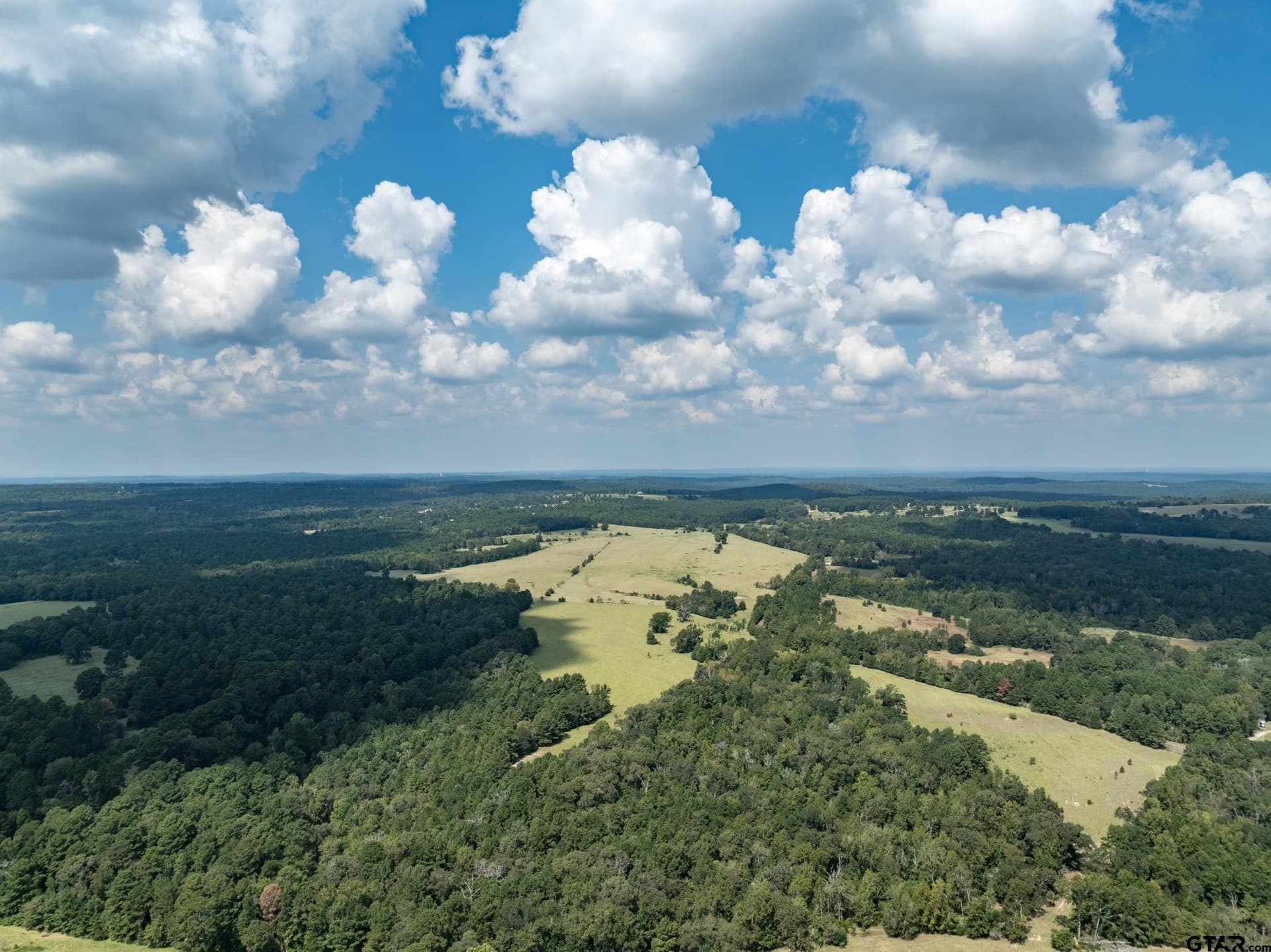 43.1 acres in Anderson County - photo 6