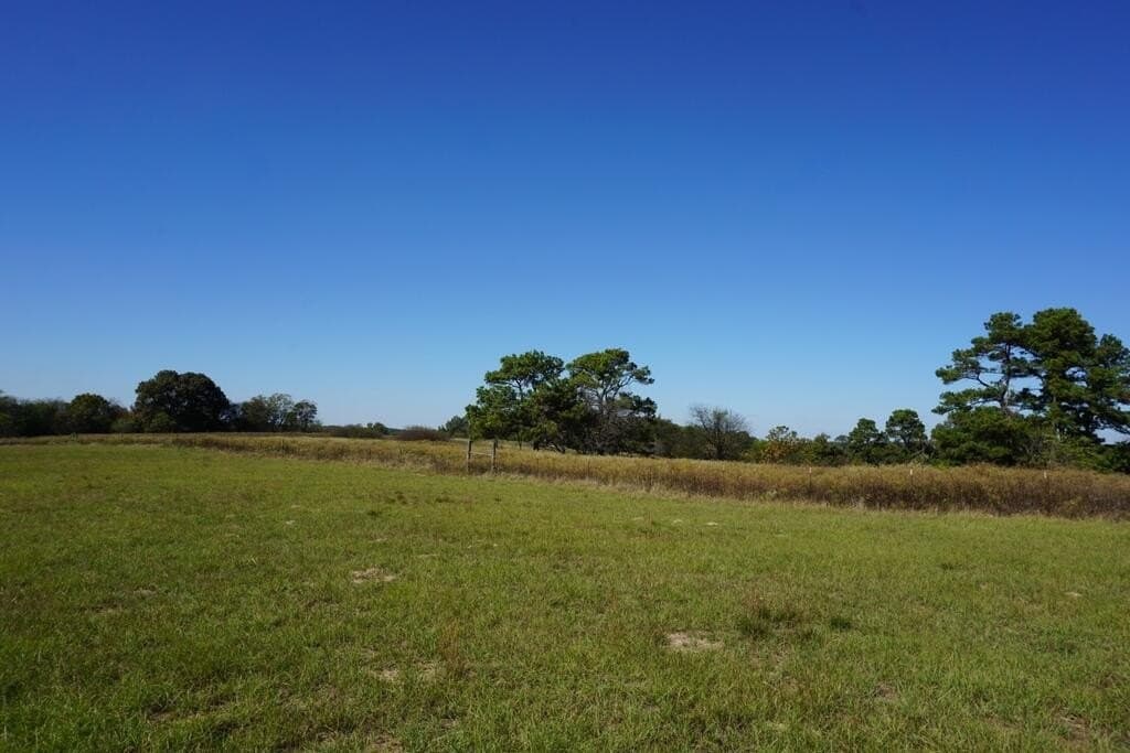20 acres in Morris County - photo 22