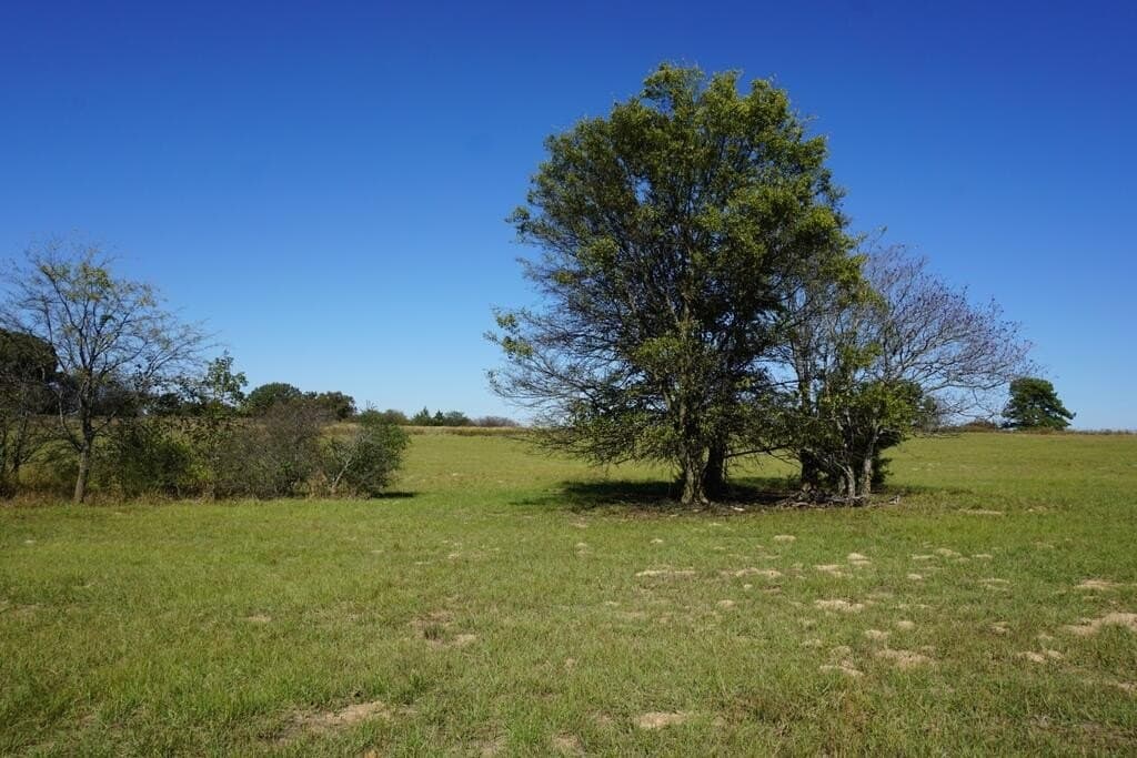 20 acres in Morris County