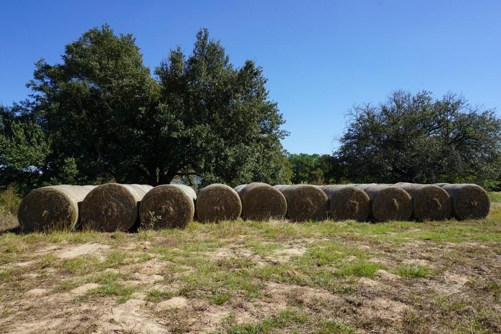 20 acres in Morris County - photo 25