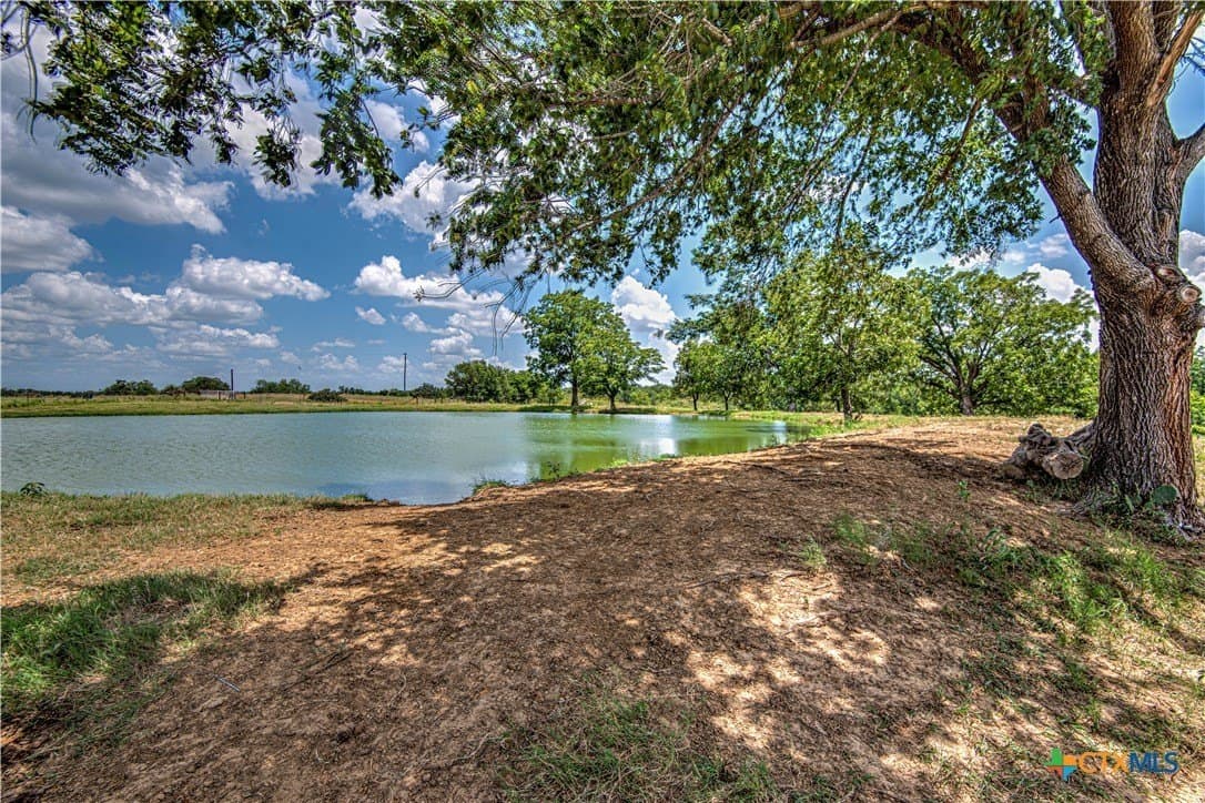 19.23 acres in Milam County gallery image 3
