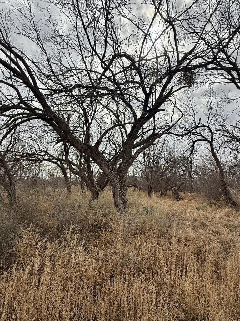 0.28 acres in Howard County - photo 6
