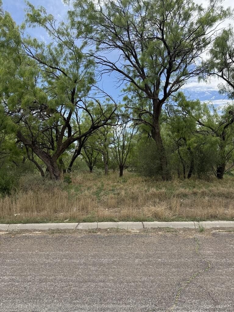 0.28 acres in Howard County - photo 2