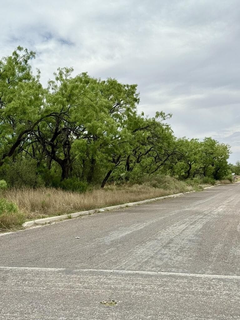 0.28 acres in Howard County - photo 3