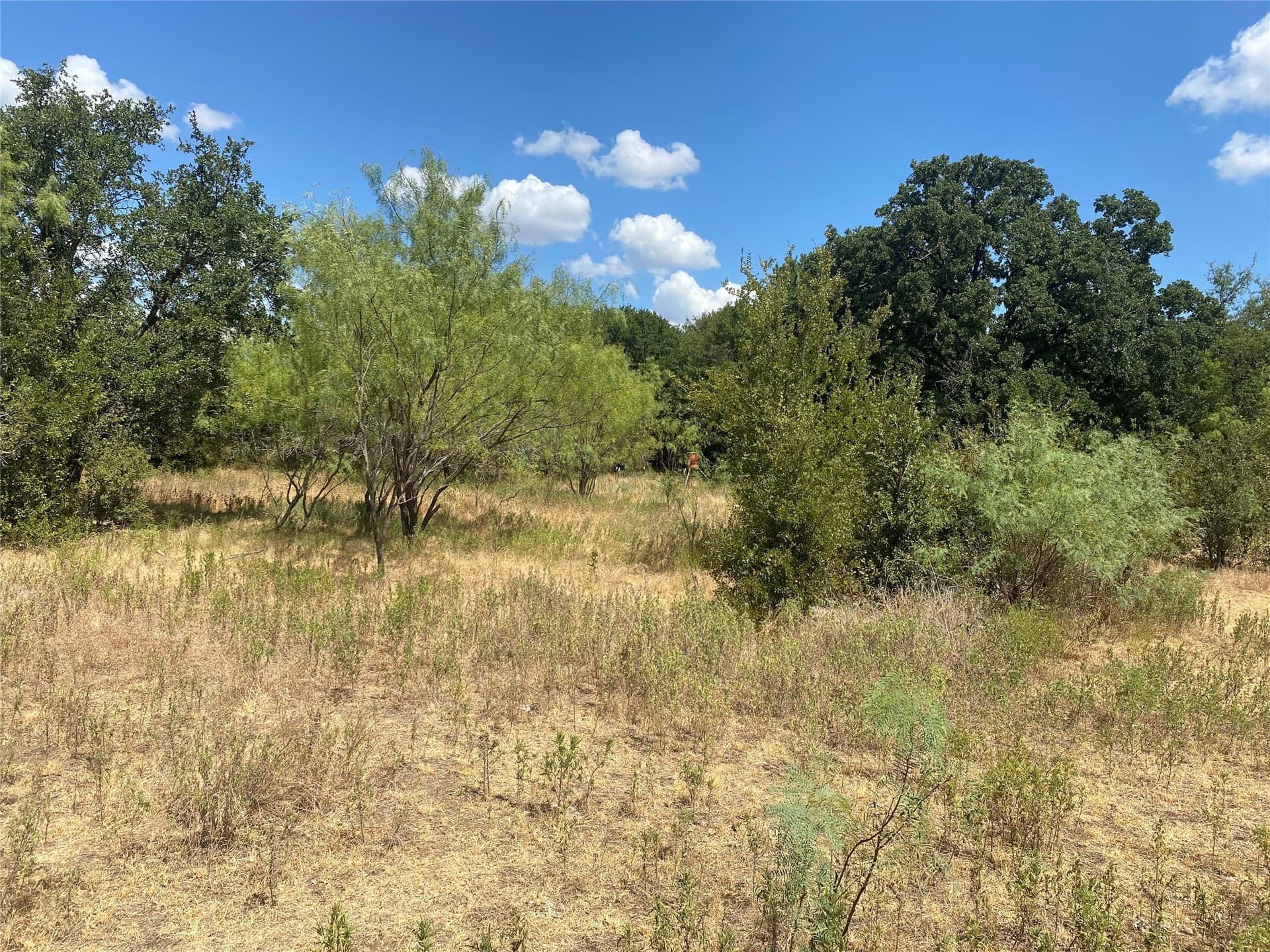 227.47 acres in Palo Pinto County - photo 9