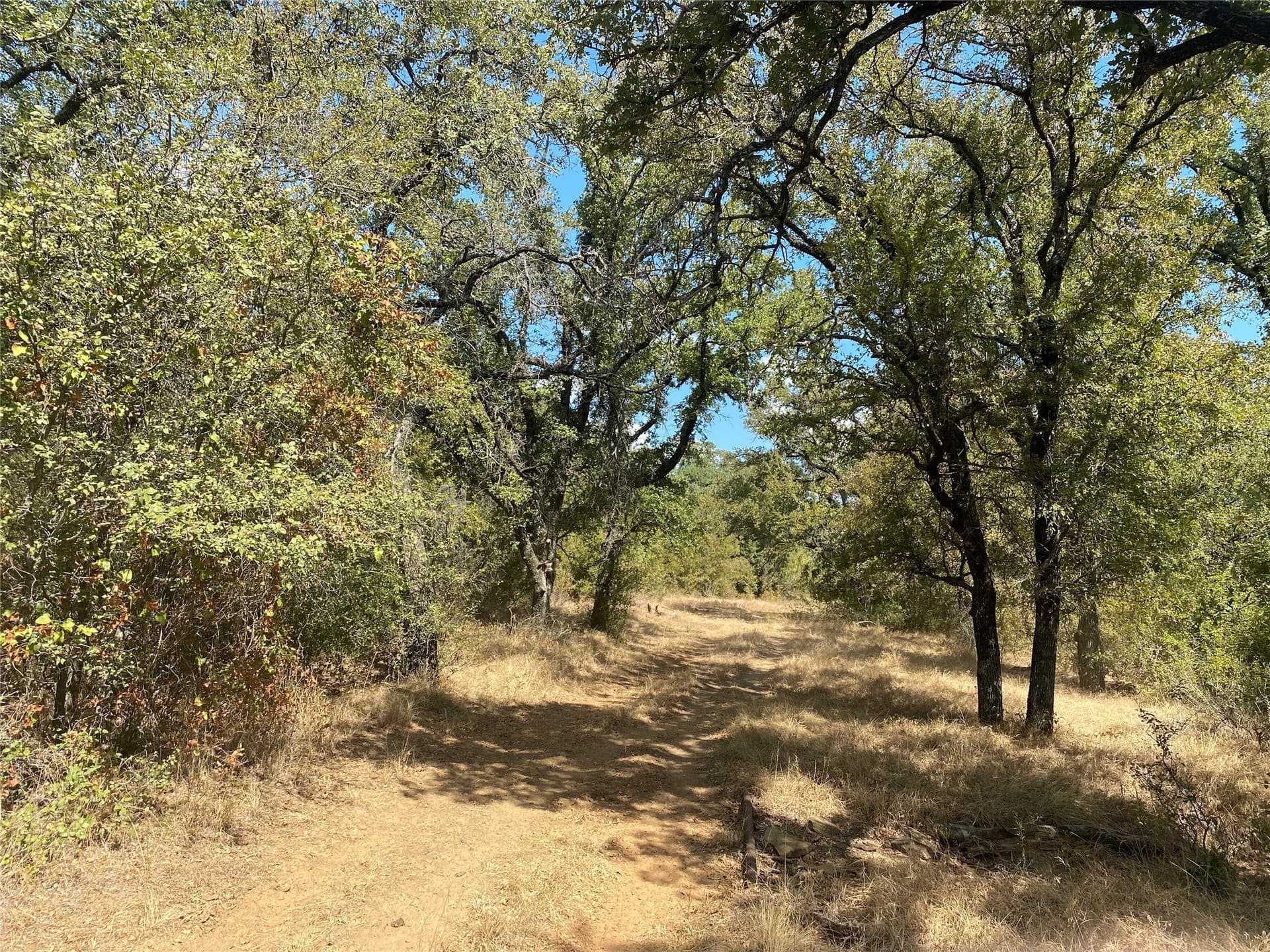 227.47 acres in Palo Pinto County - photo 8
