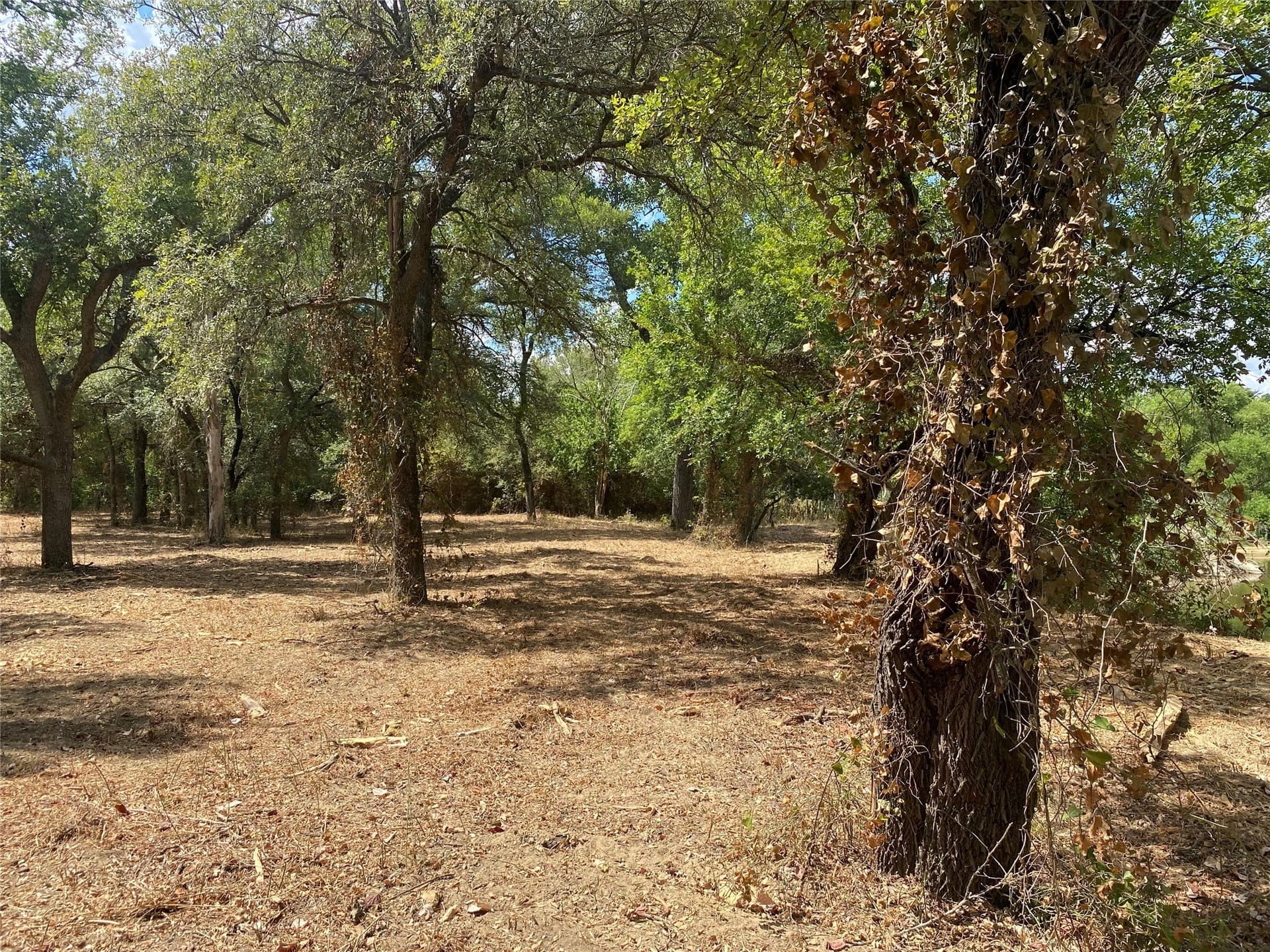 227.47 acres in Palo Pinto County - photo 15