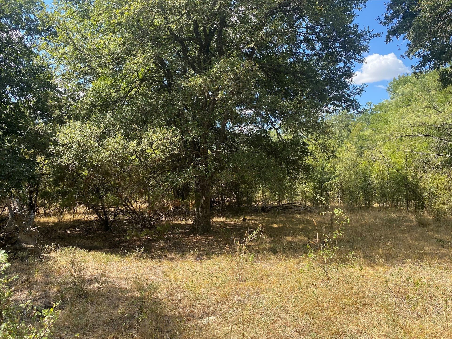 227.47 acres in Palo Pinto County - photo 7