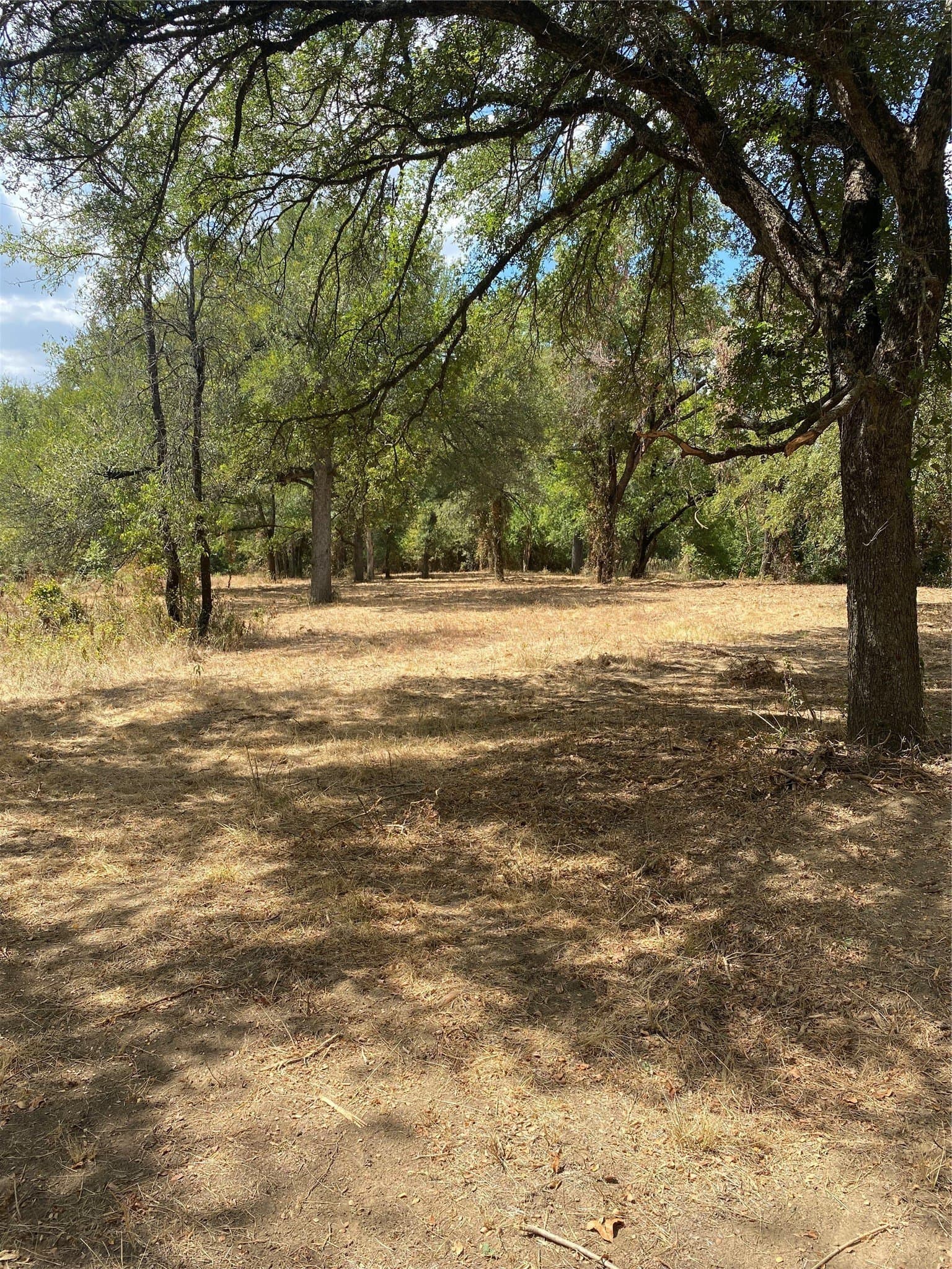 227.47 acres in Palo Pinto County - photo 12