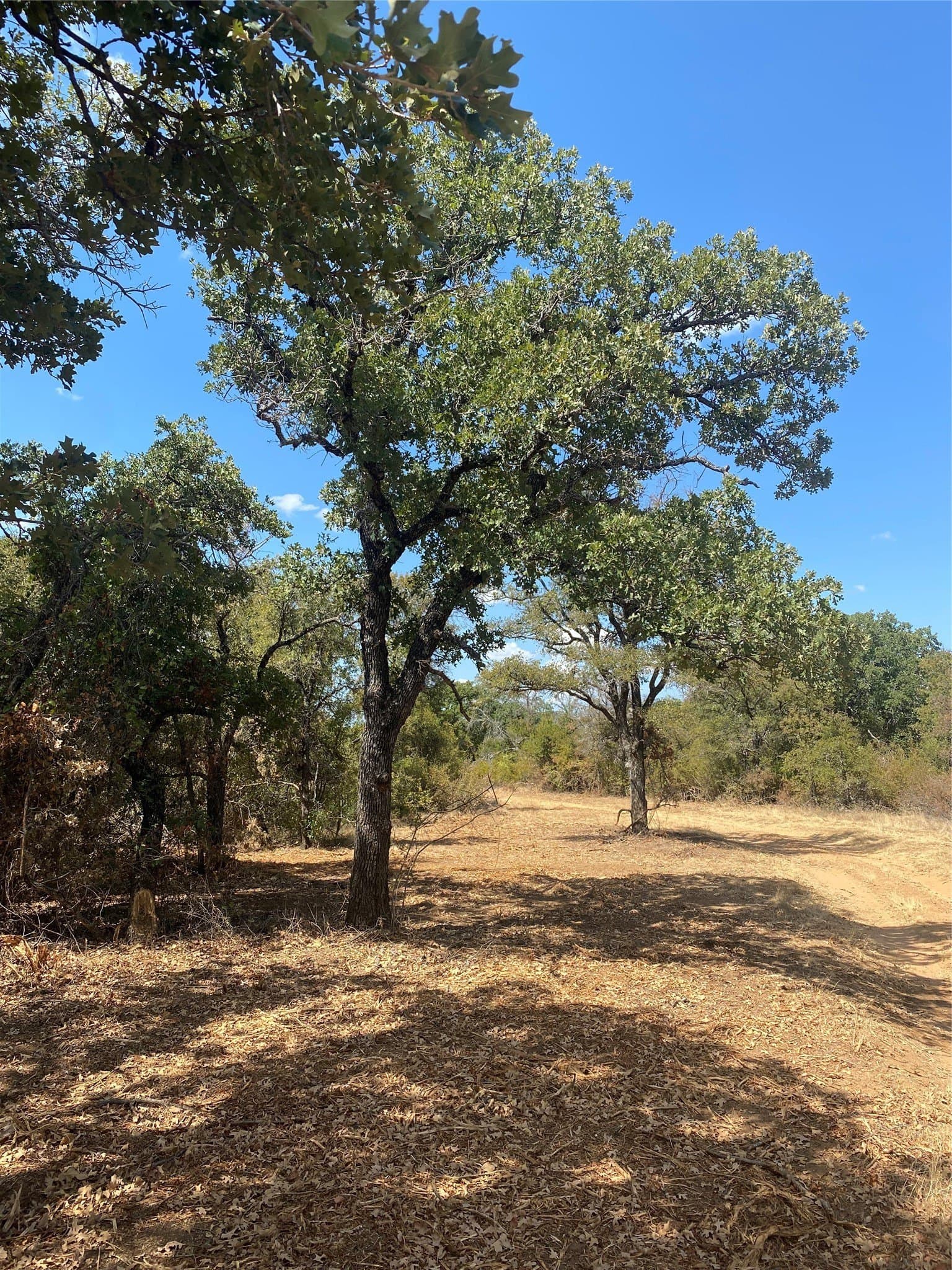 227.47 acres in Palo Pinto County - photo 2