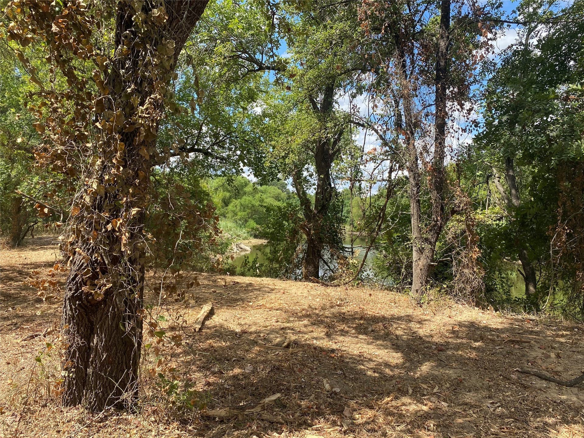 227.47 acres in Palo Pinto County - photo 6