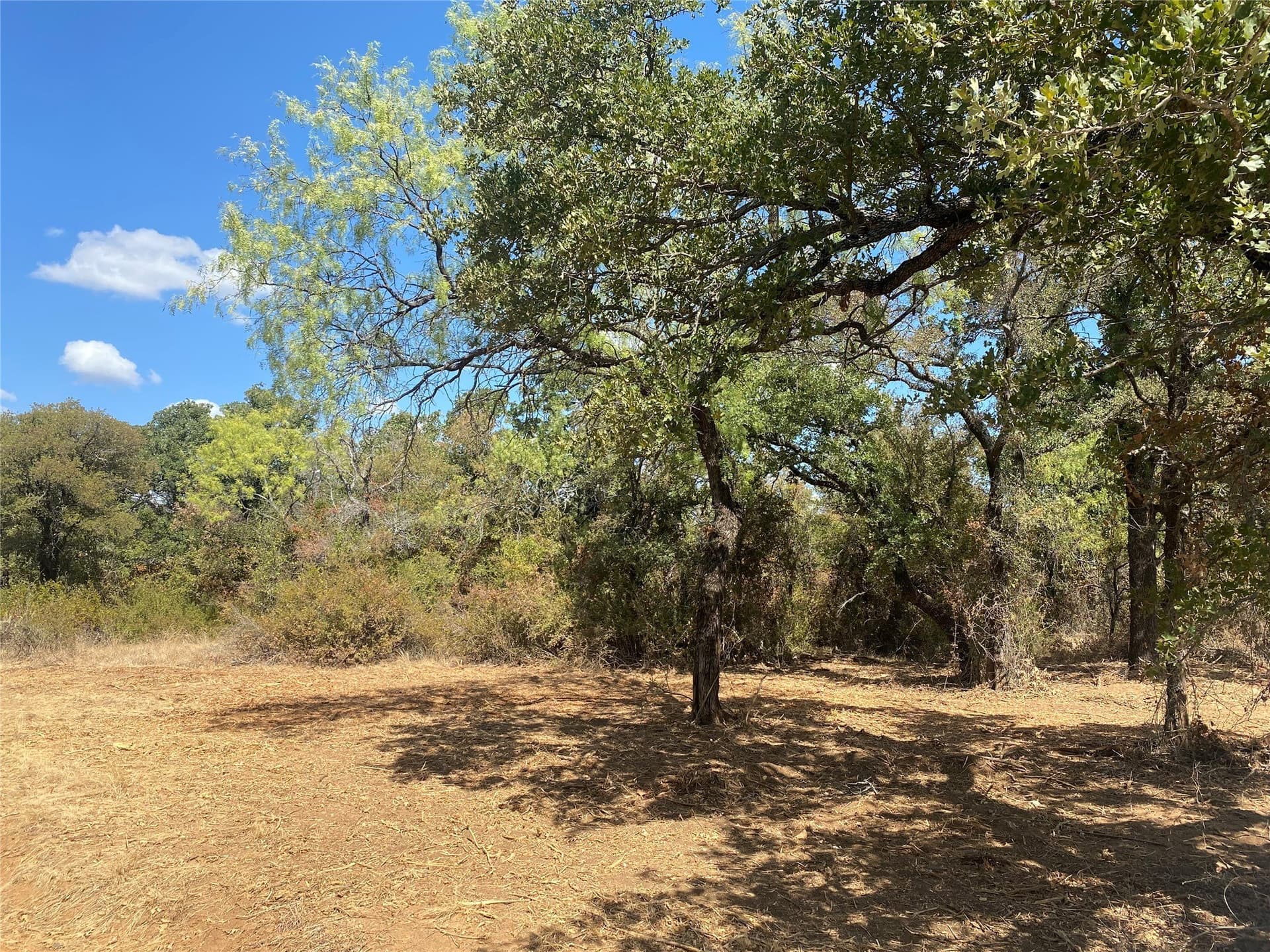 227.47 acres in Palo Pinto County - photo 4