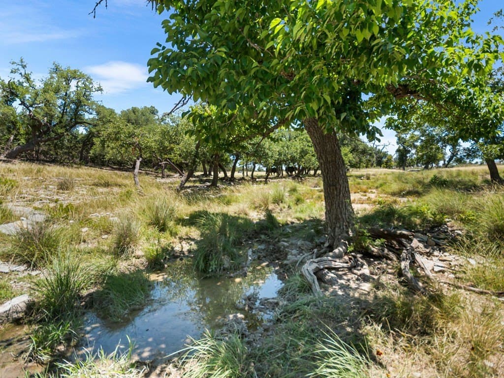417 acres in Gillespie County - photo 15