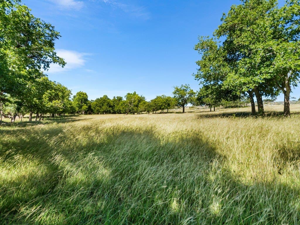 417 acres in Gillespie County - photo 10