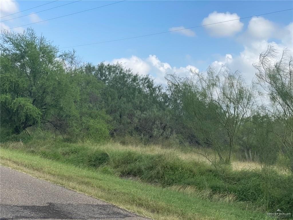 10 acres in Hidalgo County gallery image 4