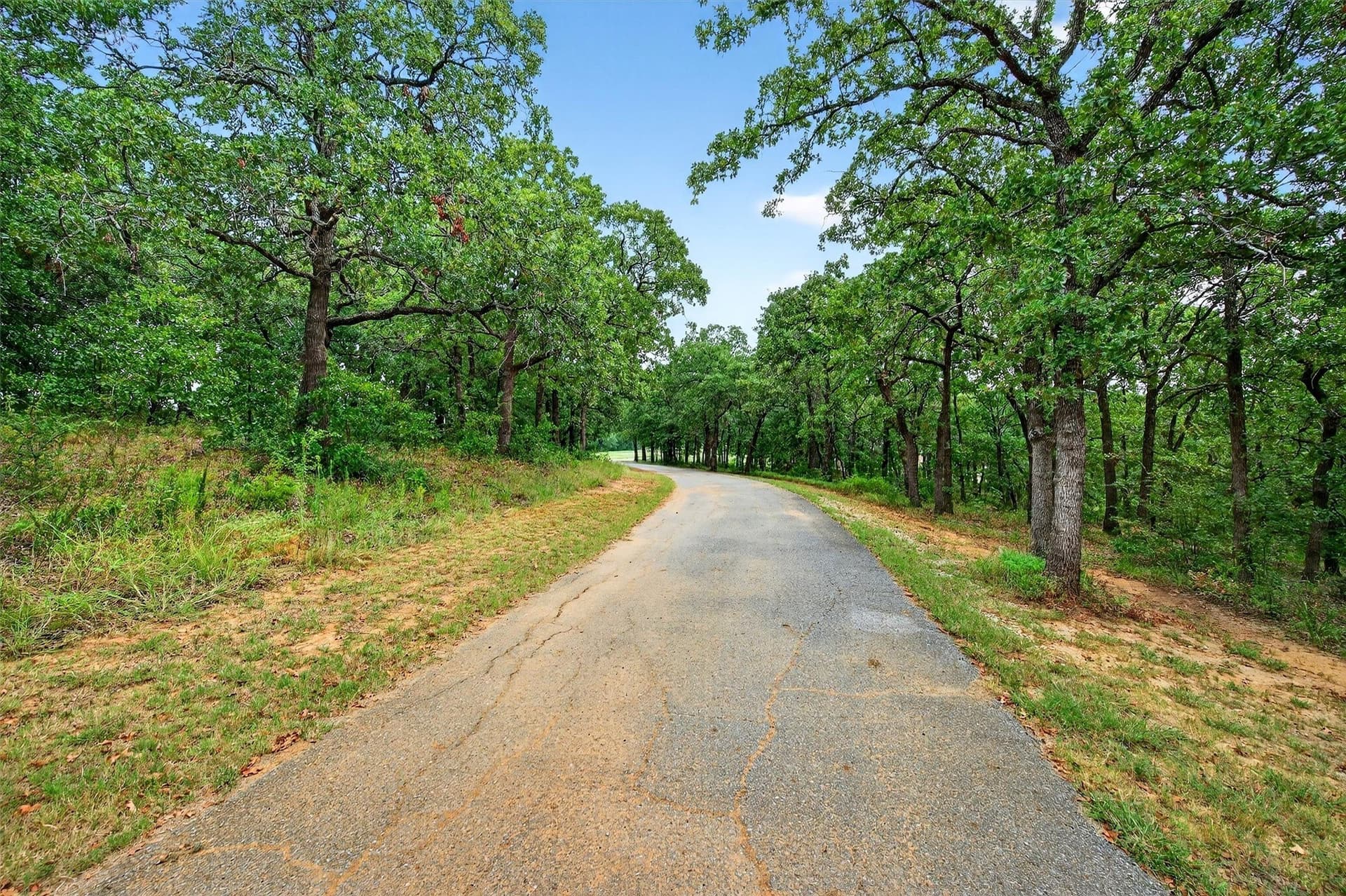 92 acres in Grayson County - photo 11