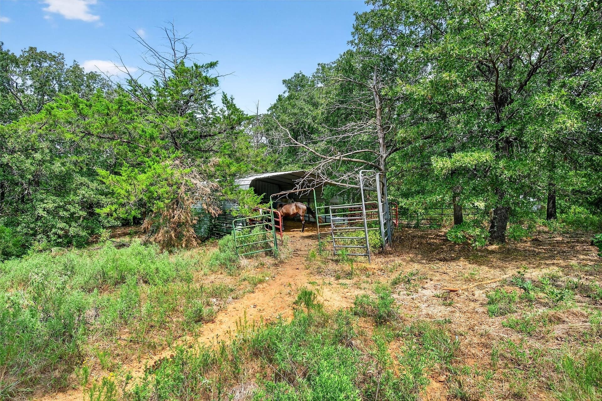 92 acres in Grayson County - photo 40