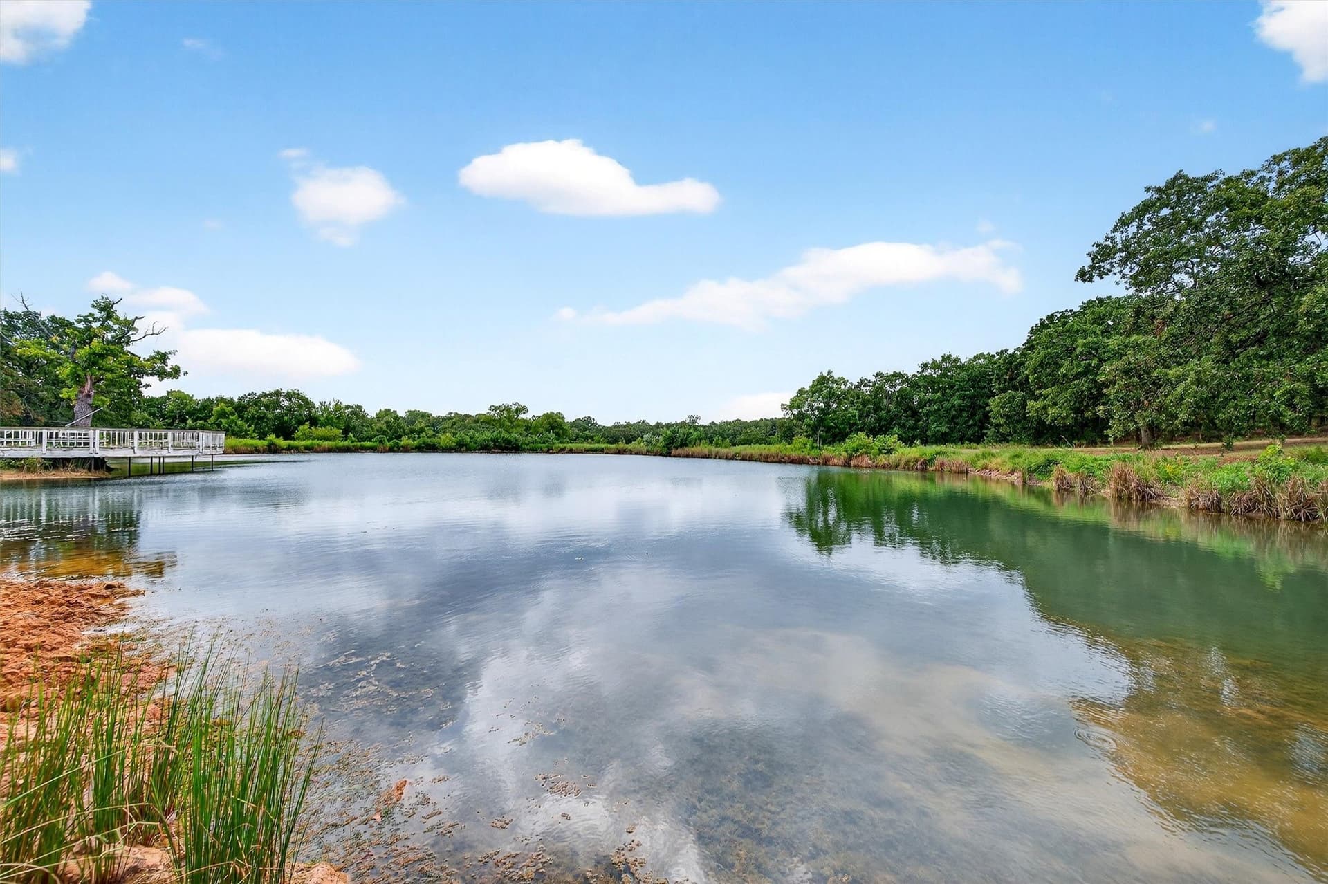92 acres in Grayson County - photo 36