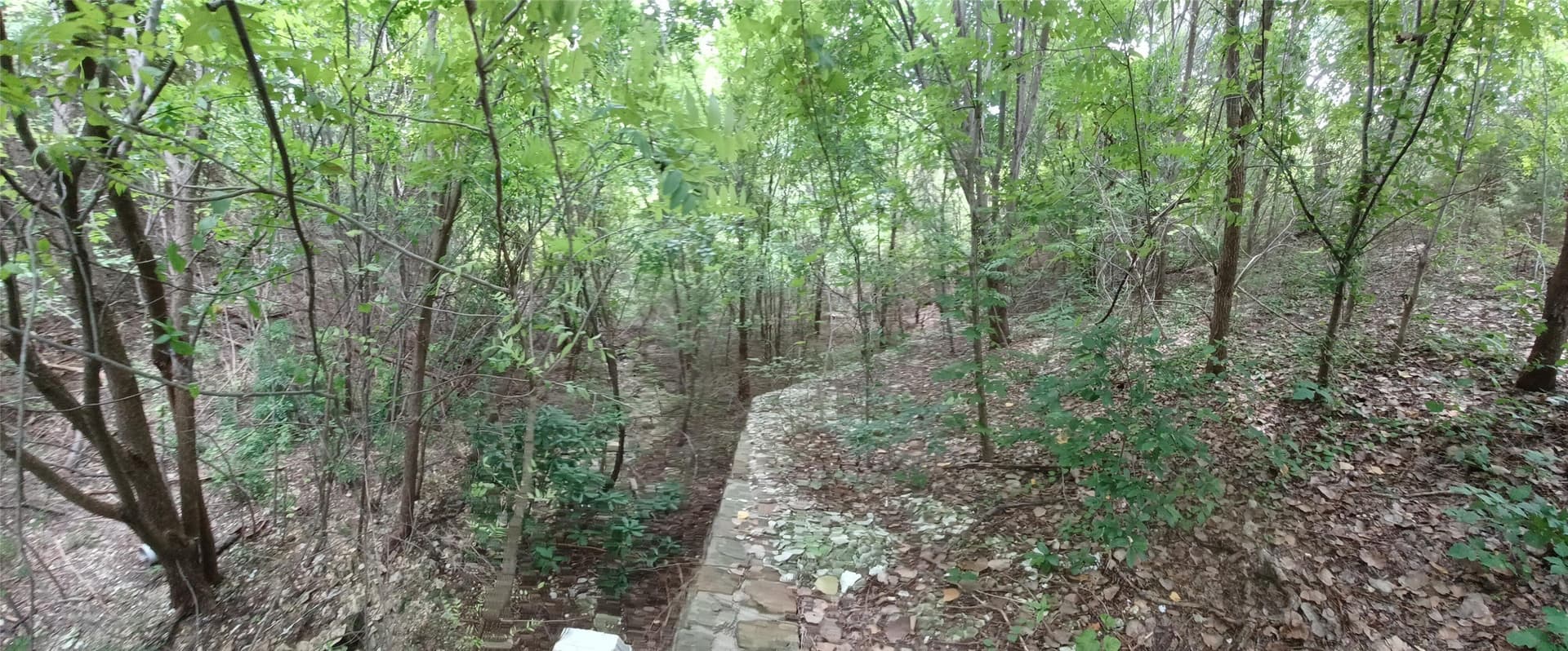 0.72 acres in Dallas County - photo 9