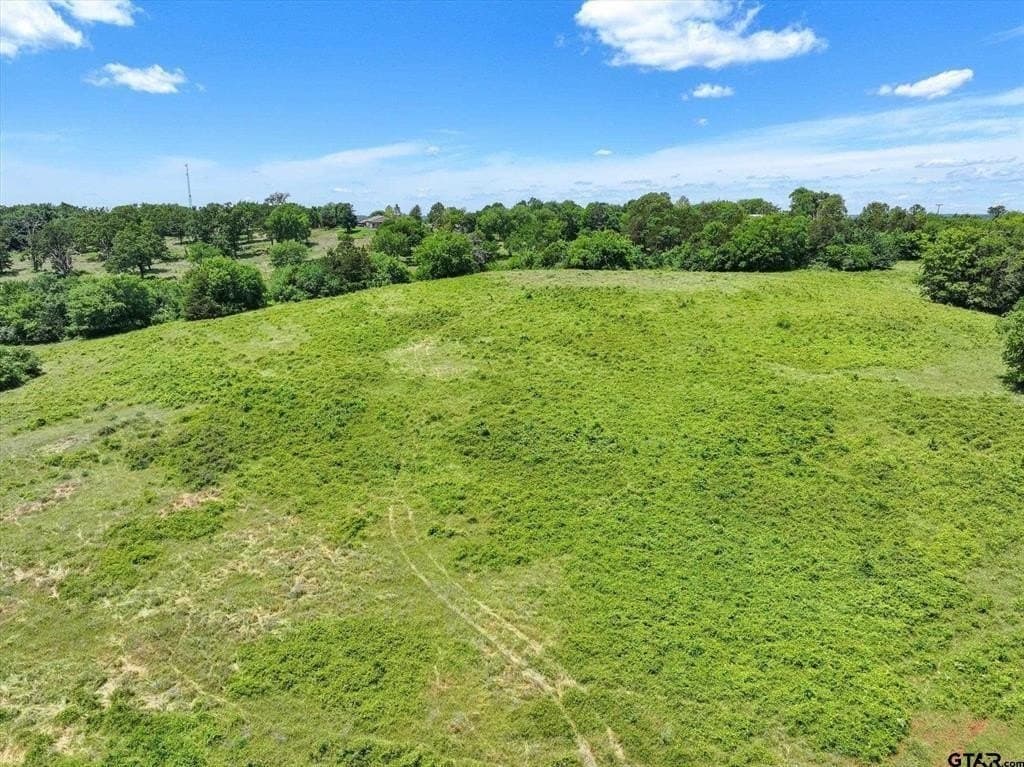 5 acres in Cherokee County gallery image 4