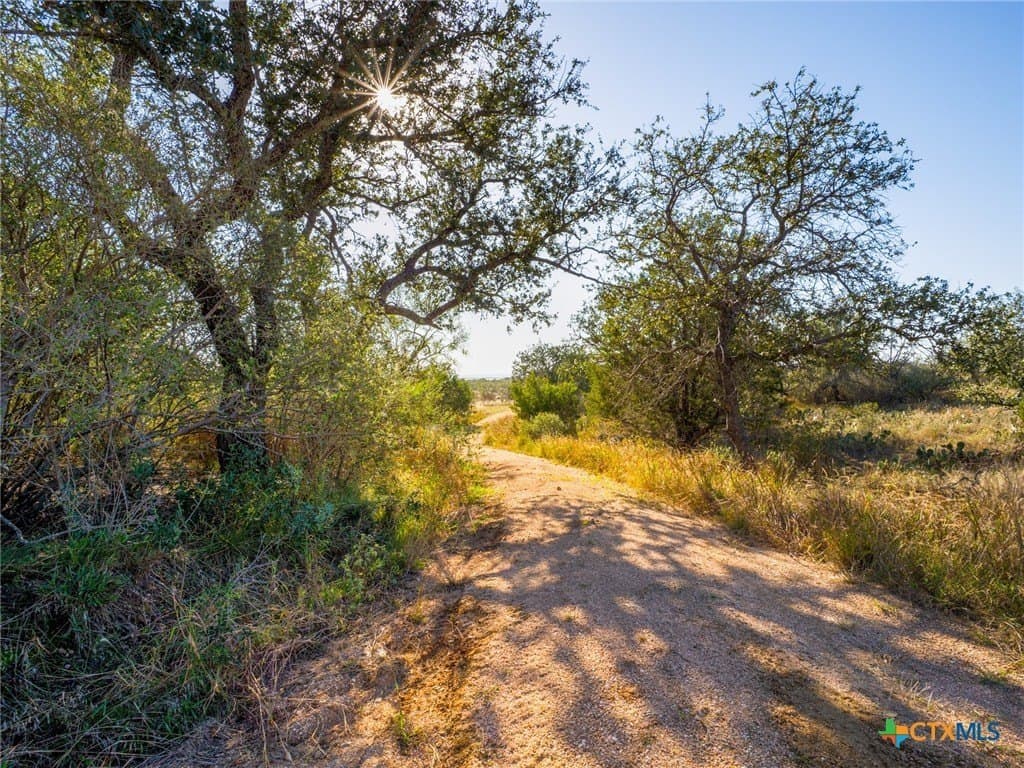 39.03 acres in Burnet County - photo 22